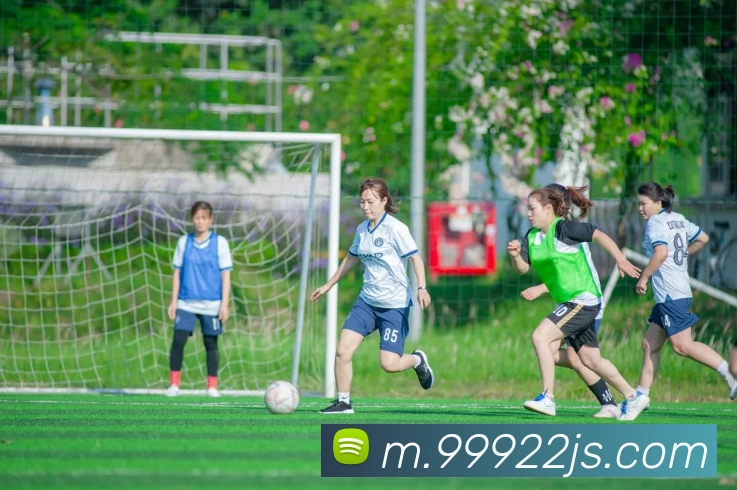 未来规划